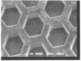 高温灰化法处理后的 DNA 模具电镜照片 Fig. 2 SEM picture of DNA mold using hot ciner ation