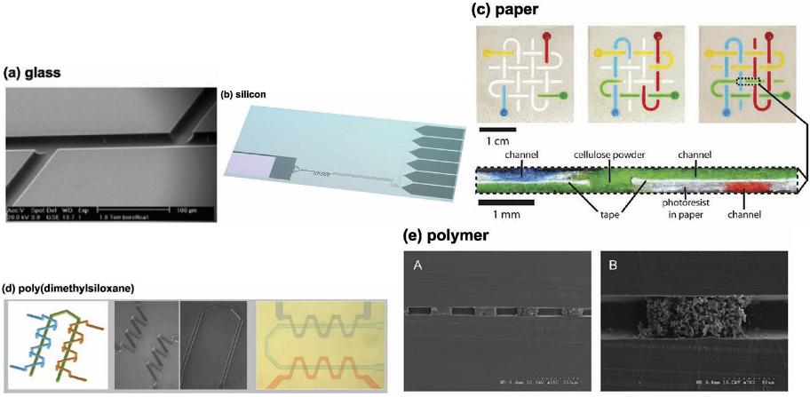 玻璃、PDMS、纸、硅、PMMA材质芯片示范图对比