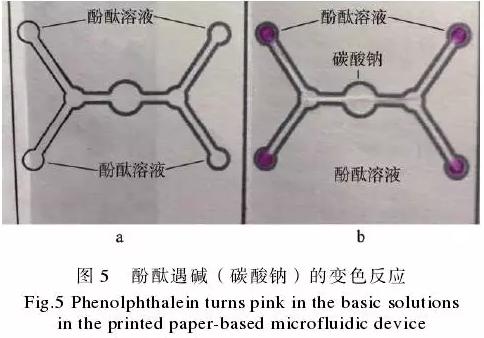 为了验证纸包装与纸基微流控芯片的整合技术，在纸盒的4个体板上分别制作了4个微流控芯片，该纸基芯片在pH值检测中的应用示例见图5。