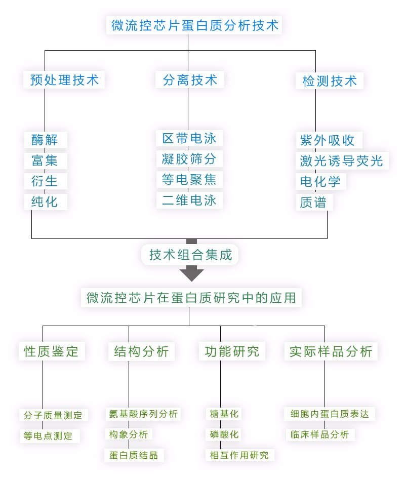 微流控芯片蛋白分析技术
