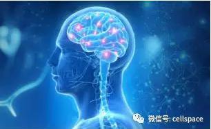从实际应用出发，让标志物助力精准诊断