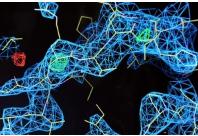 芯片实验室与分子生物学