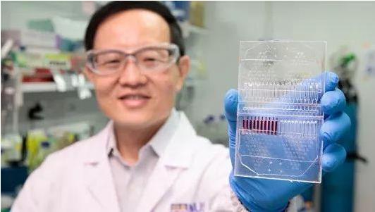 科学家开发新型CTC培养检测试剂盒，进行个体化、精确的癌症治疗