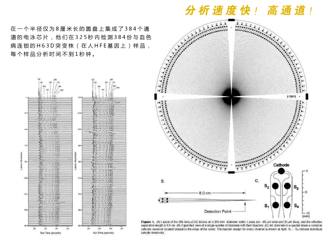 微流控芯片实验室分析检测速度快，具有高通道等特性。