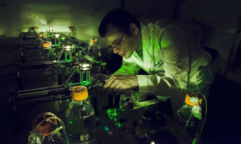 物理学研究生Jason Merritt在伊利诺伊州厄巴纳的Loomis物理实验室Kuehn实验室研究他的自动化细菌种群取样装置。来自伊利诺伊大学厄巴纳 - 香槟分校的L. Brian Stauffer