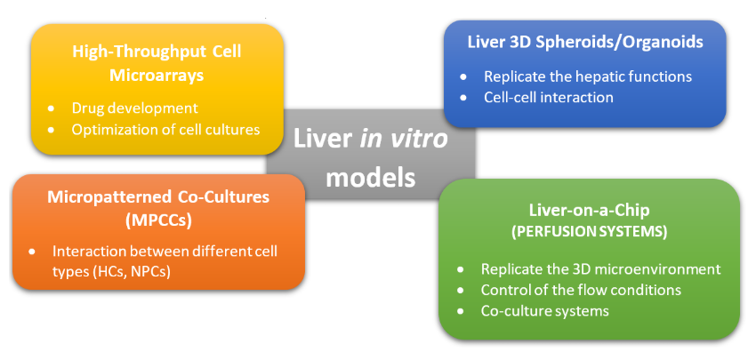 图2.肝脏体外模型的常用方法的图形表示。这些方法可分为非灌注系统（MPCC，3D球体）和灌注系统（肝脏上芯片），而高通量细胞微阵列通常用于药物筛选和开发[2] [10]。