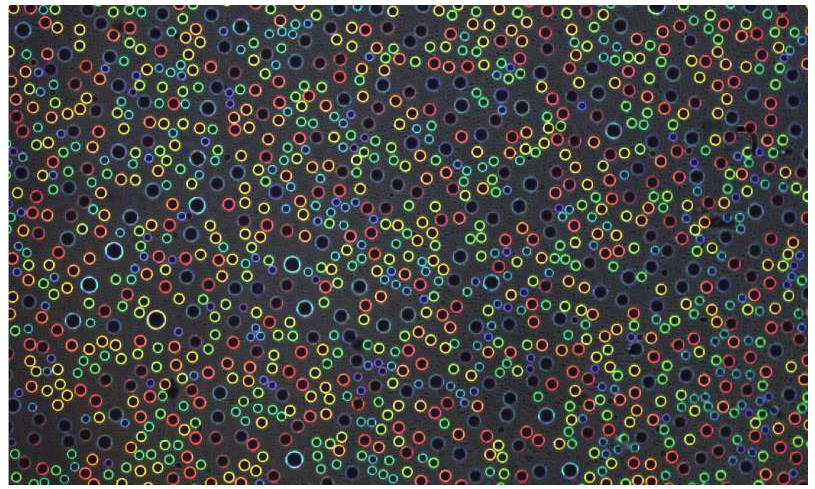 结构颜色来自清澈的水滴。凝聚在透明塑料片上的微米级水滴根据其尺寸反射不同的亮色。图片来源：宾夕法尼亚州扎尔扎尔实验室