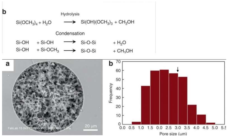 使用微流控整体装置从血液中分离完整细菌