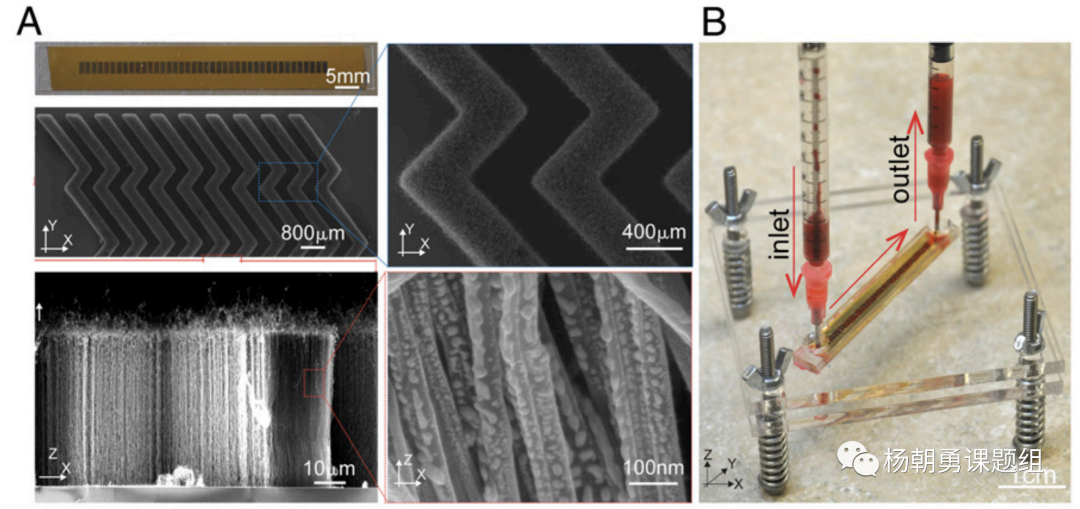 图1 VIRRION平台内部具有精准可控的碳纳米管阵列结构，用于通过尺寸捕获样品中的病毒。毫米级的芯片通道可以保证在处理样品时具有足够的通量