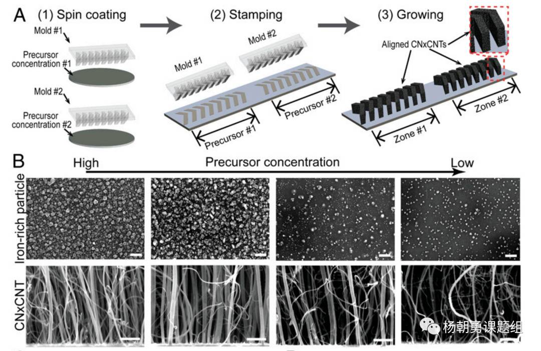 图 2 压印的方法制作VIRRION及不同内部间隙的碳纳米管阵列