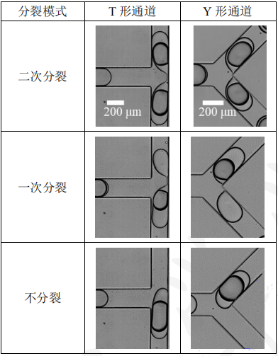 微信截图_20240207113312.png