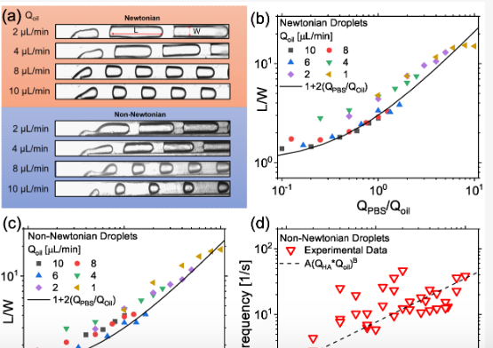 1743388283302149.png 图片2.png